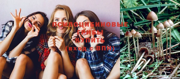 прущая мука Верхний Тагил