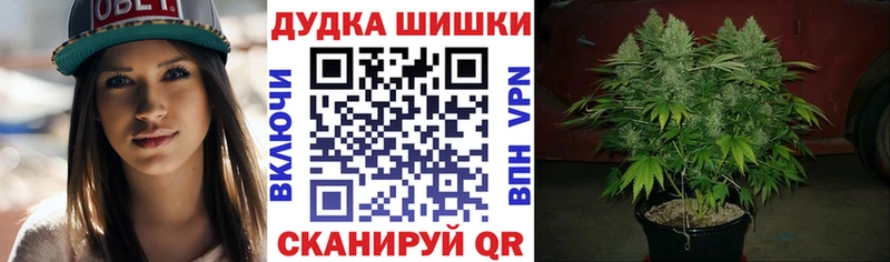Купить  Алзамай  Марихуана марихуана 